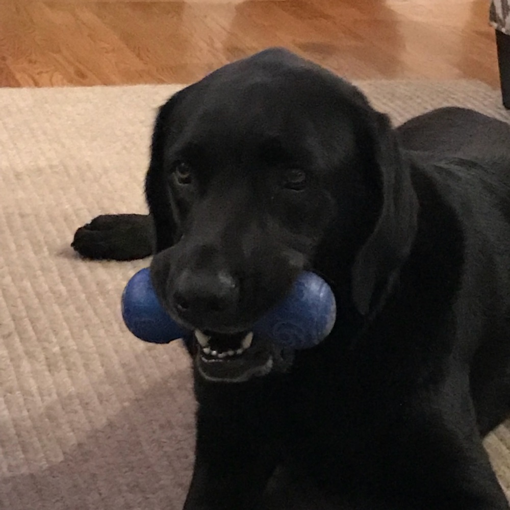 Meet your Posher, Lindi